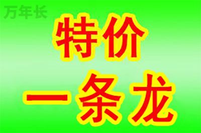 广东省肇庆市封开县连都镇墓地